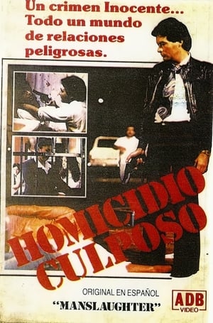 Poster Homicidio Culposo 1984