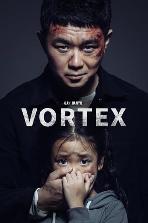 Poster Vortex 2019