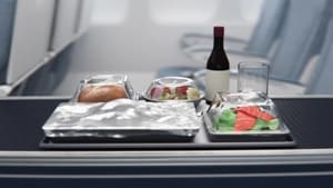 Made in A Day Airplane Meals