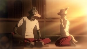 BEASTARS – O Lobo Bom: 2×4