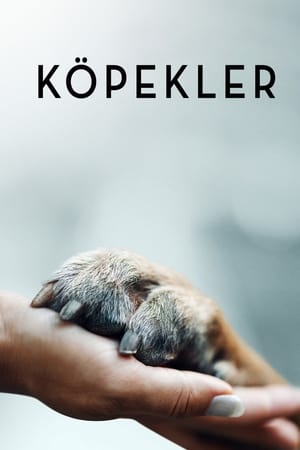 Image Köpekler