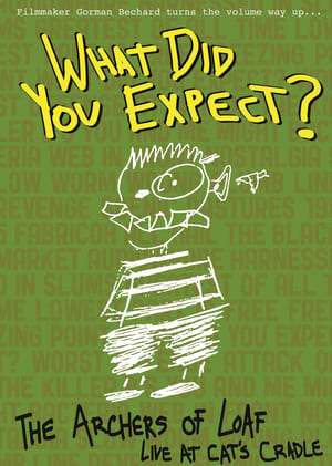 Poster What Did You Expect: The Archers of Loaf Live at Cat's Cradle 2012