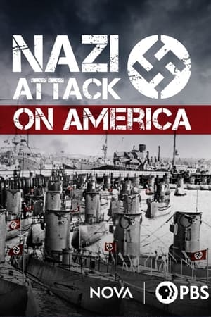 Poster Nazi Attack on America (2015)