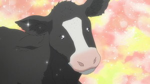 Episódio 7 - Hachiken vai para a Fazenda Giga - Silver Spoon