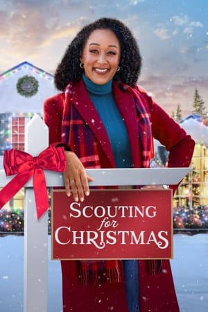 Poster Scouting for Christmas 2024