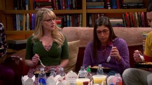 The Big Bang Theory Temporada 7 Capitulo 17