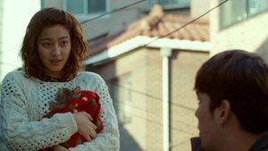 เจ้าเหมียวน้อยที่จากไป (2015) The Cat Funeral