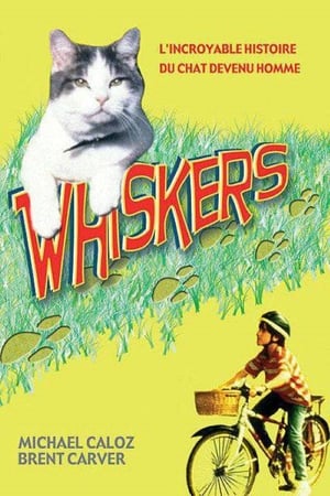 Poster Whiskers - Der Katzenmann 1997