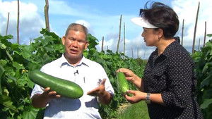 Episode 36 | StreamHub