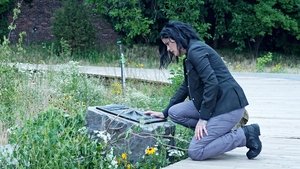 Blindspot Season 2 Episode 2