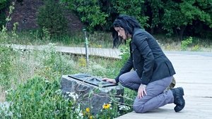 Blindspot: Mapa zbrodni: Sezon 2 Odcinek 2