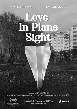 Poster Love In Plane Sight (2022)