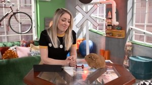 Cochon dingue: 3×40