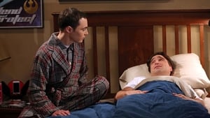 The Big Bang Theory Season 8 Episode 9