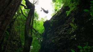 Opération sauvetage en pleine jungle, 2e partie