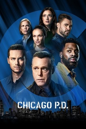 Chicago P.D. S9E6