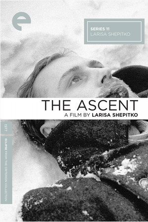 The Ascent 43