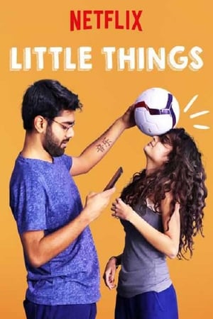 Banner of Little Things