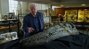 Attenborough and the Sea Dragon