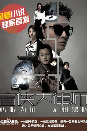 盲侠大律师第2季