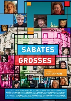 Poster Sabates Grosses 2017