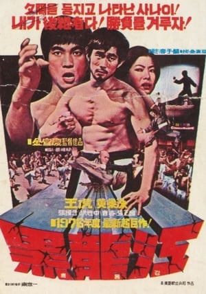 Poster Compañeros de artes marciales 1976