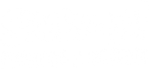 Scooby-Doo! Piratas à Bordo