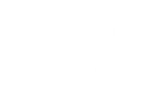 A Dama e o Vagabundo — Logos 10