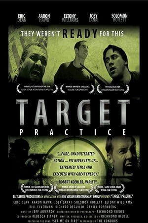 Target Practice poster