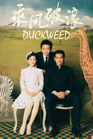 Poster Duckweed (2017)