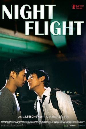 Poster Night Flight (2014)