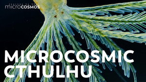 You Have Something in Common With This Horrifying Tube Worm still