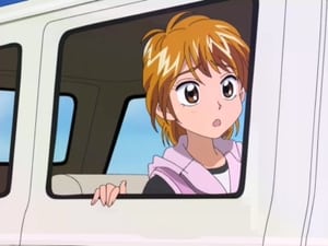 Pretty Cure: 1×31