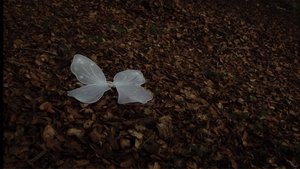 Quan ningú ens mira