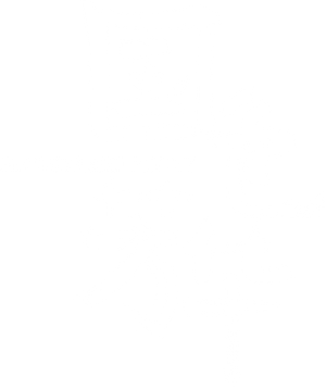 O Florescer da Peônia — Logos 5