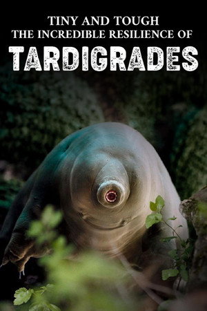 Tiny and Tough - The Incredible Resilience of Tardigrades