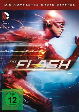 The Flash: Staffel 1