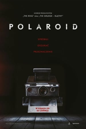 Poster Polaroid 2019