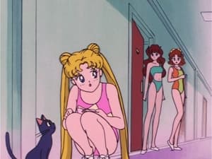 Sailor Moon Usagi's a Model: The Flash of the Monster Camera