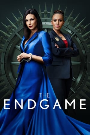 The Endgame - Poster