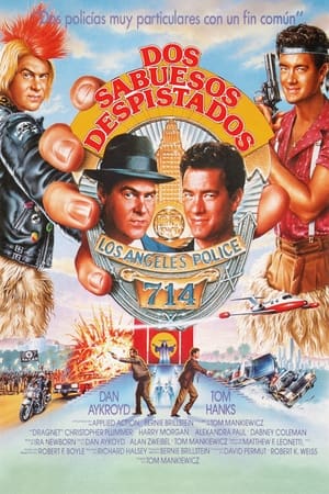 Poster Dos sabuesos despistados 1987