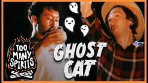 Too Many Spirits Ghost Cat