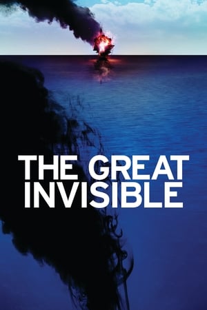 Poster The Great Invisible 2014