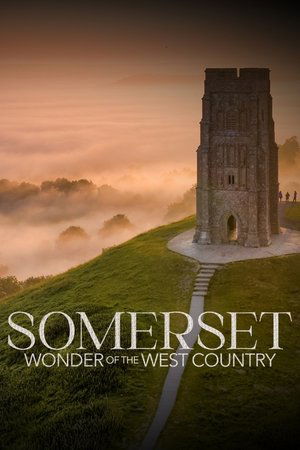 Poster Somerset: Wonder of the West Country 2024