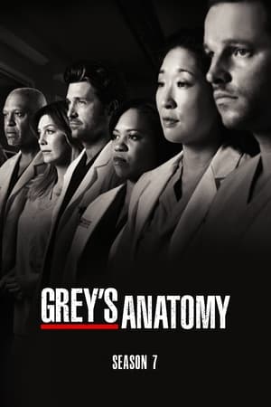 Grey's Anatomy: Sezon 7