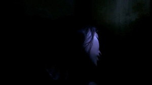 White Noise 9