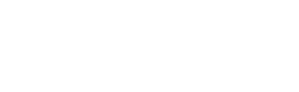 Ảnh 47