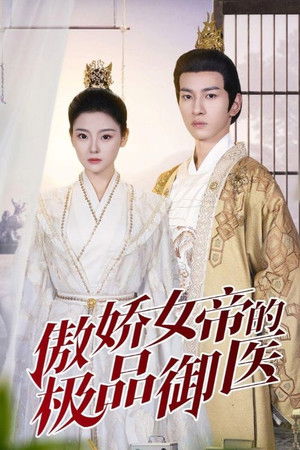 傲娇女帝的极品御医