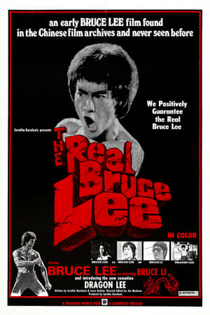 The Real Bruce Lee poster