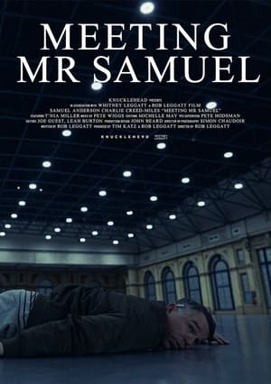 Poster Meeting Mr Samuel (2023)